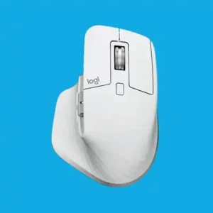 Mouse